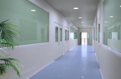 上海細(xì)胞實(shí)驗(yàn)室建設(shè)效果圖-細(xì)胞實(shí)驗(yàn)室設(shè)計(jì)建設(shè)核心