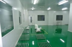 湖北制藥企業(yè)GMP潔凈室溫濕度控制設(shè)計(jì)