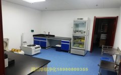 浙江做疾控中心實(shí)驗(yàn)室設(shè)計(jì)工程的公司有哪些