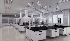 浙江實驗室規(guī)劃建設(shè)步驟